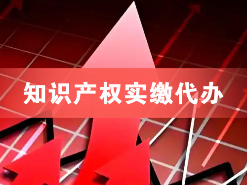 连州知识产权实缴资本代办